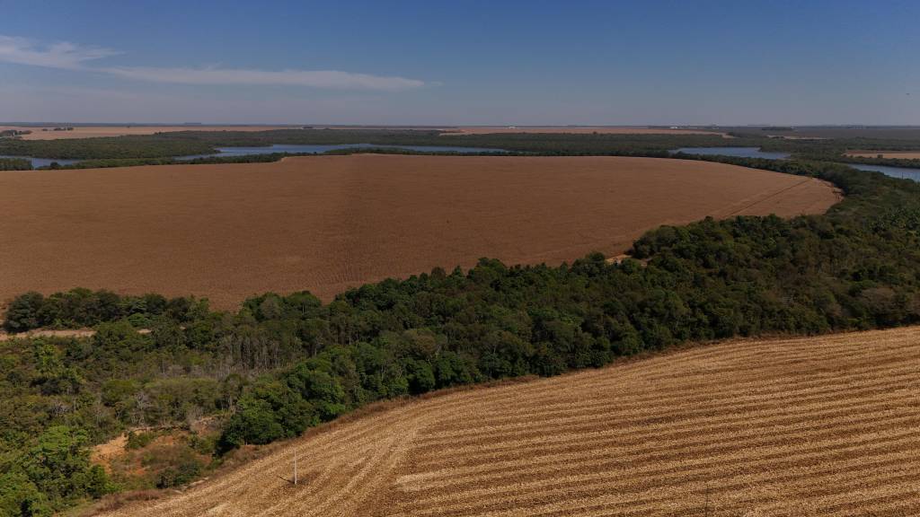 Chuvas acima da média trazem otimismo e desafios para a safra de soja