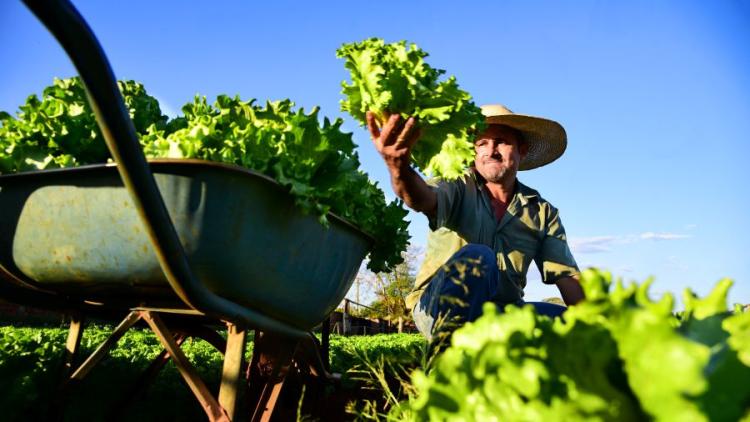 Senar/MS e Prefeitura de Campo Grande firmam parceria para impulsionar a agricultura familiar