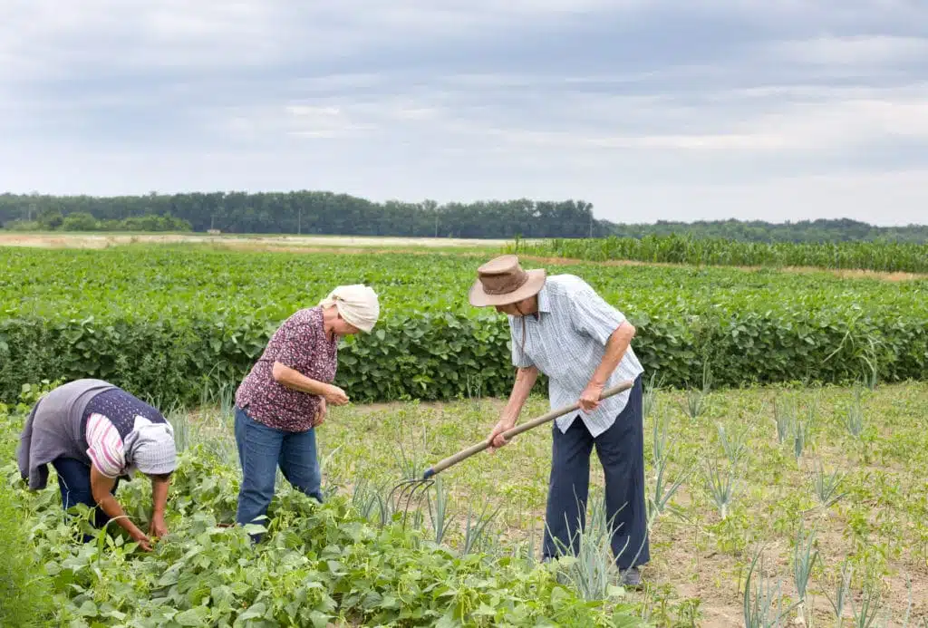 Brasil e Argentina estreitam laços para exportação de alimentos da agricultura familiar