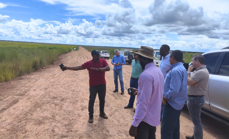 Missão do Mapa na África busca o desenvolvimento da agricultura e pecuária no país e estreitar as relações comerciais