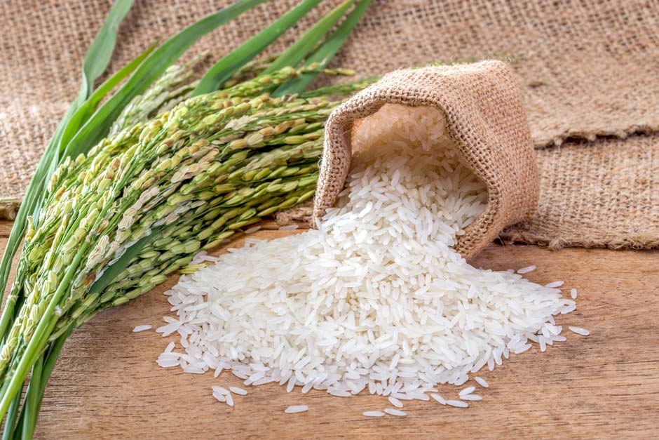Mercado do arroz em casca se estabiliza com cautela entre compradores e vendedores
