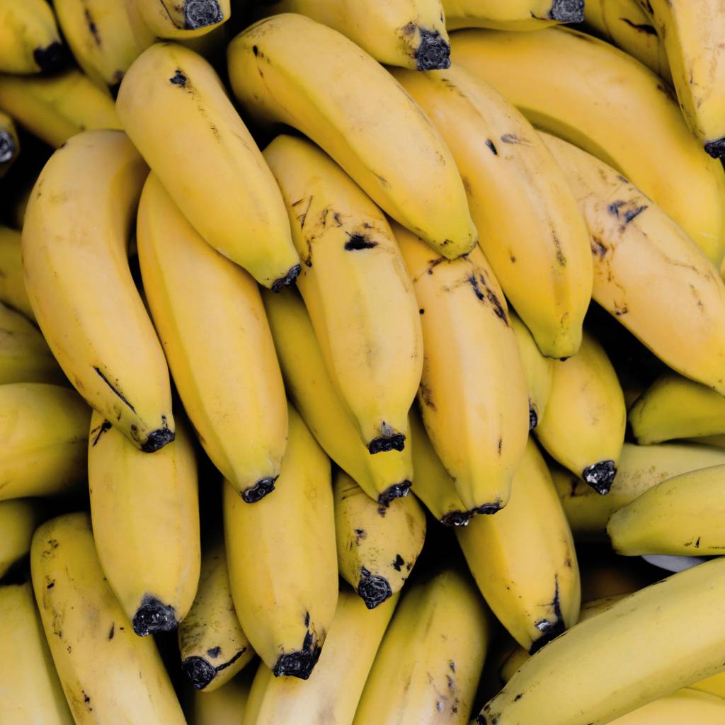 Frio em Santa Catarina prejudica bananais