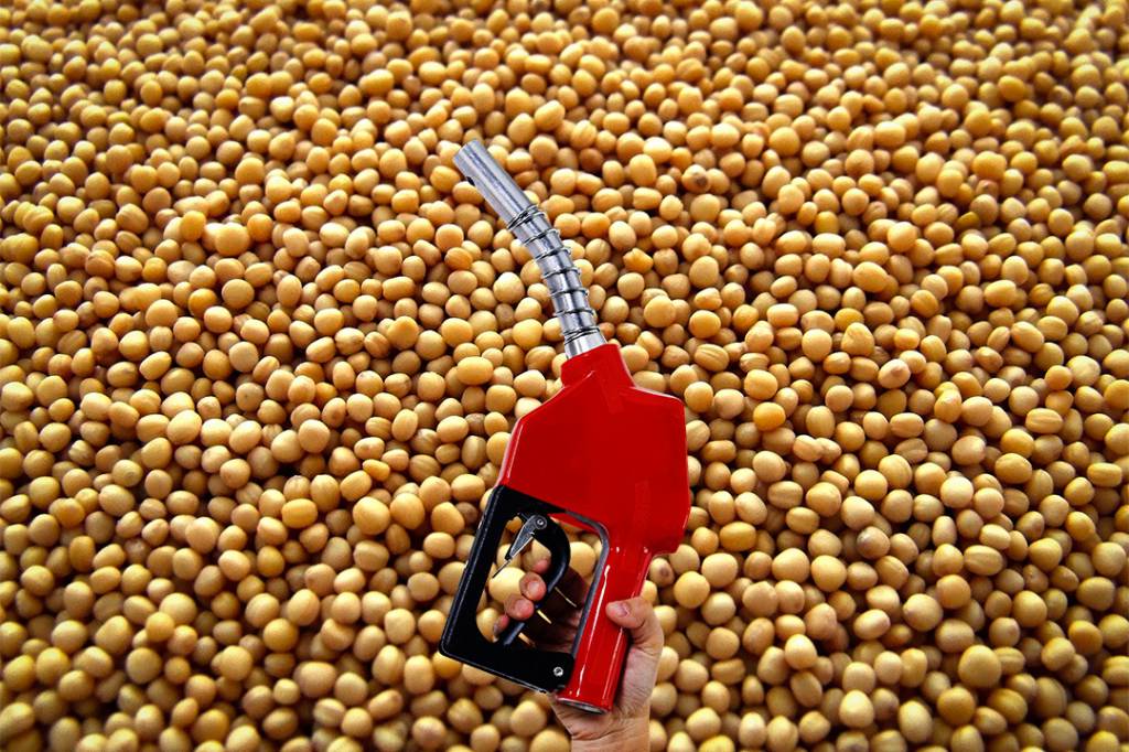 Consumo de biodiesel deve crescer 9% em 2025 e 6,4% em 2026