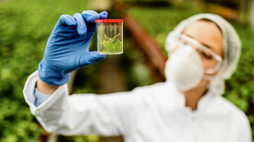 Produtor rural comenta aumento de produtividade devido a bioinsumos