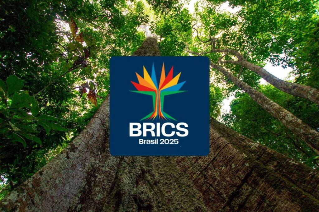 Cúpula do Brics discute enfrentamento a medidas unilaterais no comércio internacional