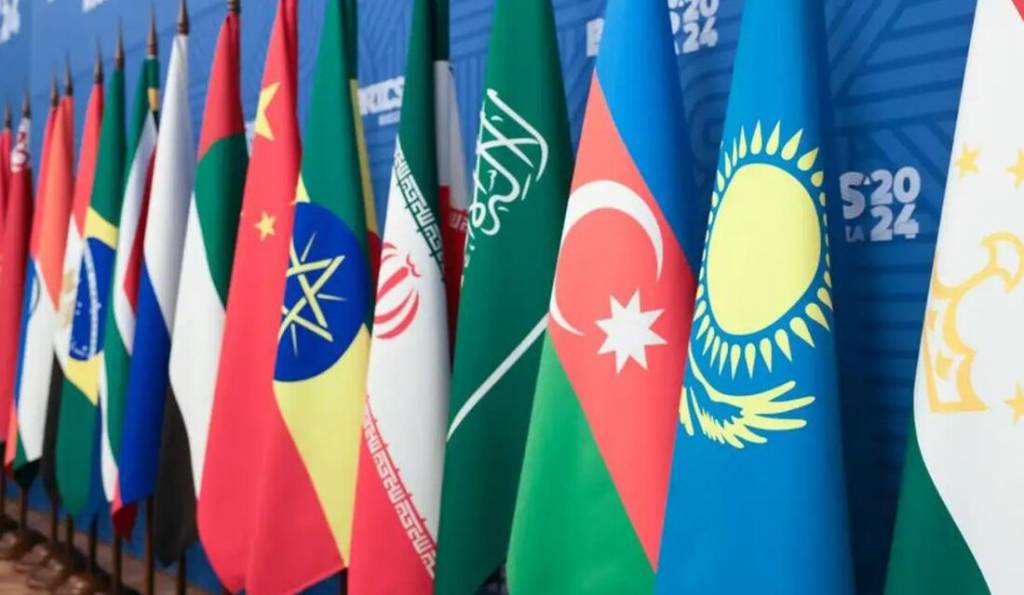 Brics Brasil: País elevou debate em transição energética após assumir G20, diz assessora do MME
