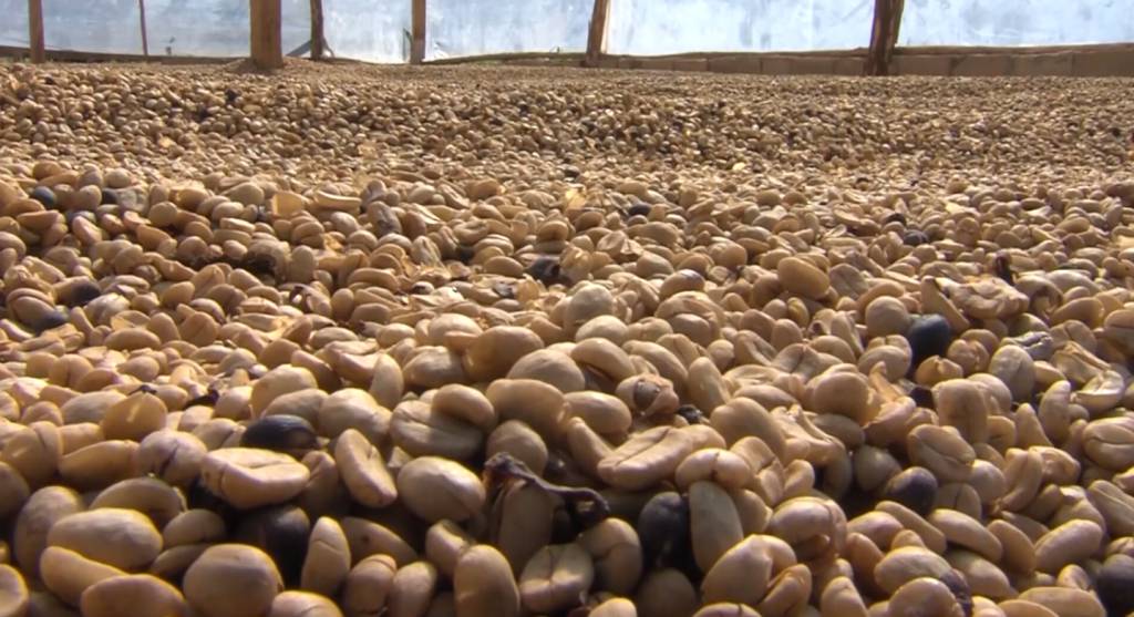 Mercado doméstico de café deve ter dia de preços baixos