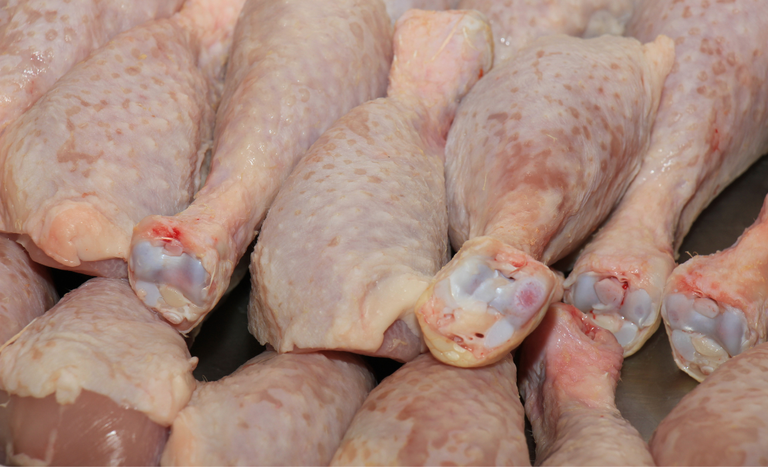 Jordânia e Kuwait reduzem restrições à carne de frango brasileira após missão oficial do Mapa ao Norte da África e Oriente Médio