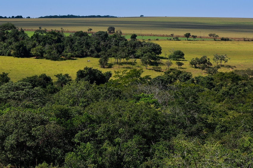 Incra libera CCIR 2025 a partir de junho; documento é obrigatório para regularizar imóvel rural