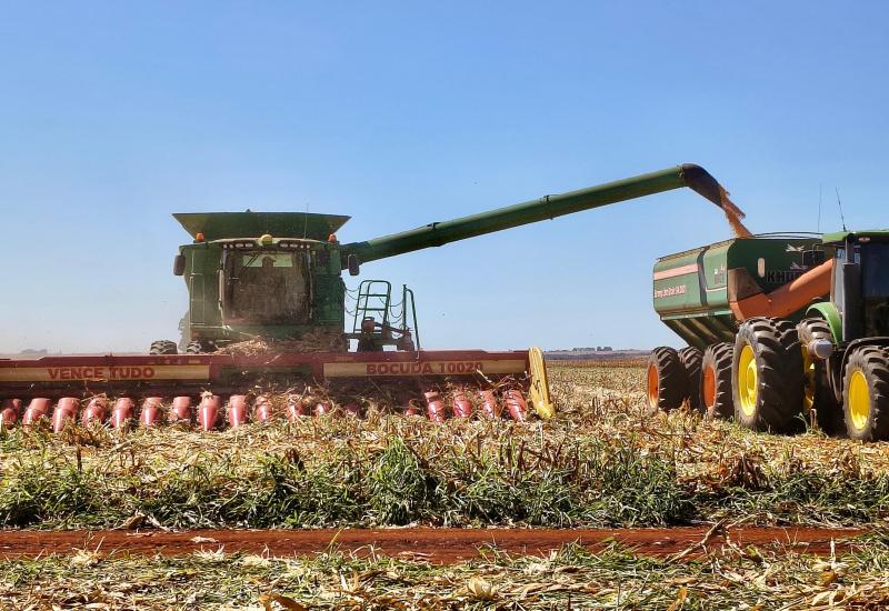 Plantio de milho verão atinge 6,7% da área no Centro-Sul, mostra AgRural