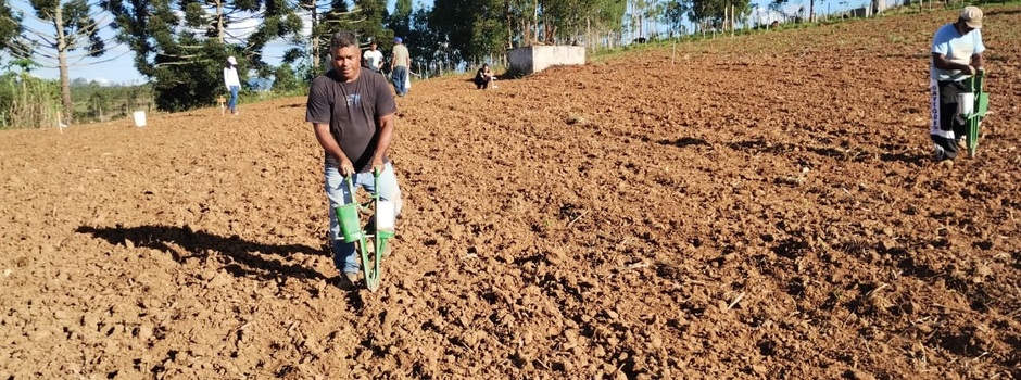 Implantação de unidades demonstrativas visa expandir o cultivo de arroz em áreas de sequeiro na Zona da Mata