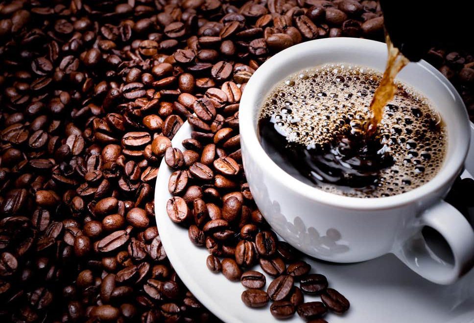 Preços do café recuam com avanço da colheita e projeções divergentes entre arábica e robusta