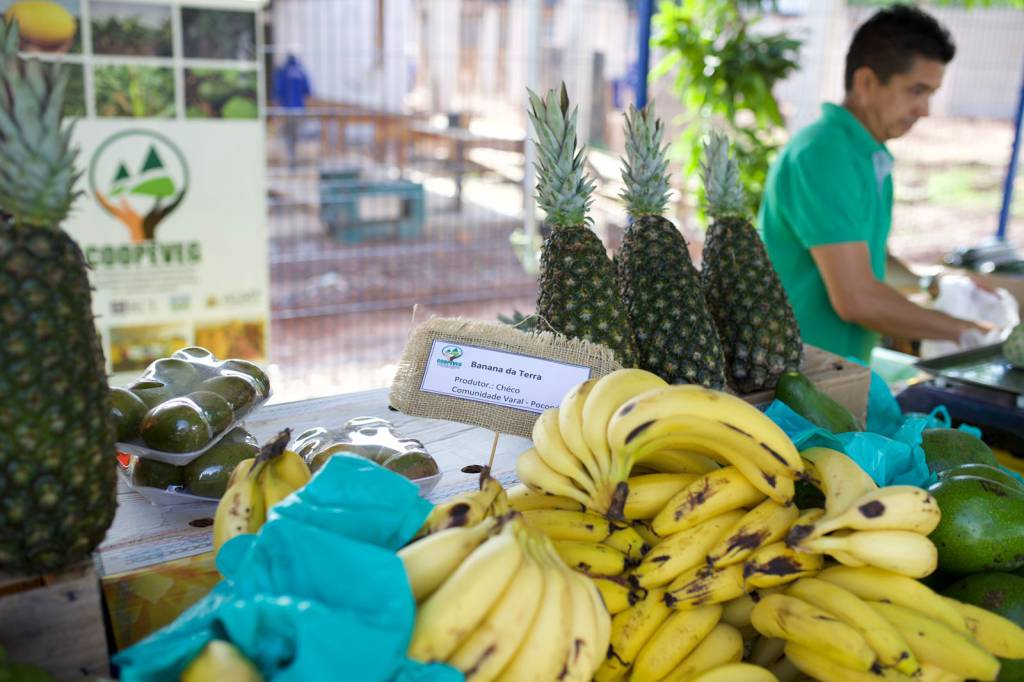 Feira agroecológica é reaberta e fortalece a conexão entre produtores rurais e consumidores urbanos