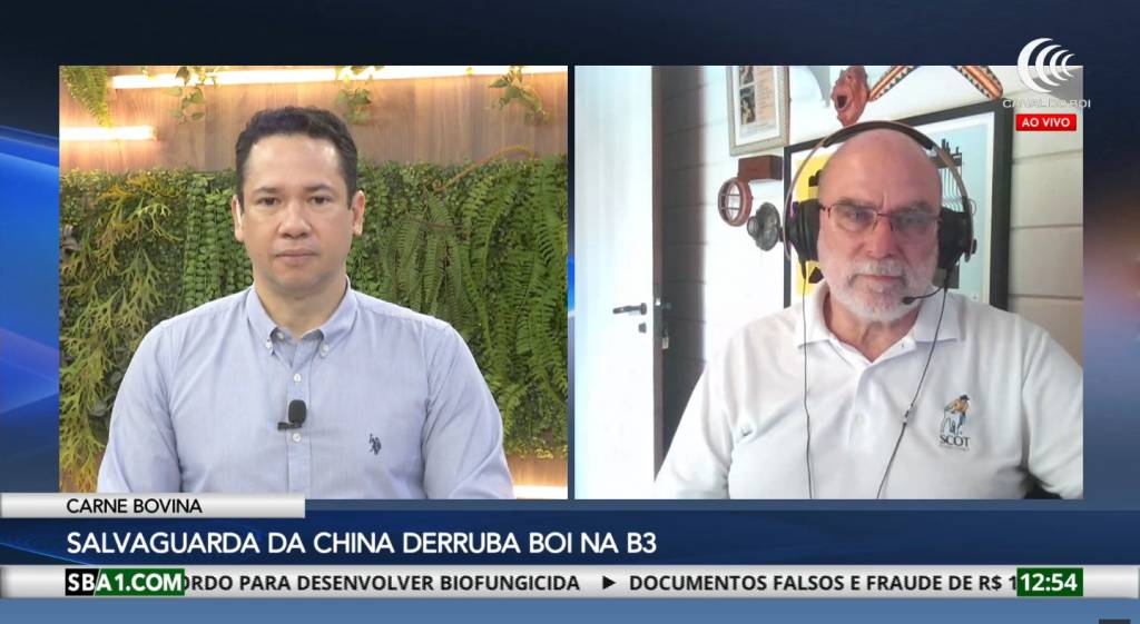 Salvaguarda da China derruba boi na B3