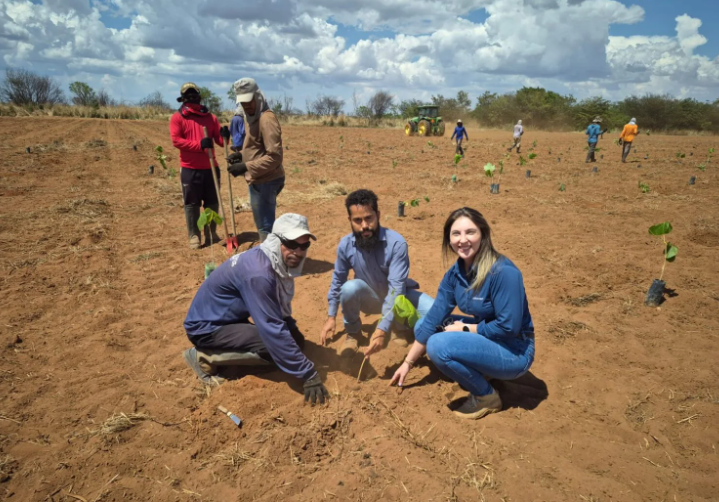 Ação ambiental da Aiba e parceiros marca plantio de 2 mil mudas de espécies nativas do Cerrado