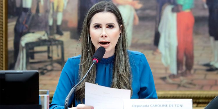 Primeiro semestre da CCJC é marcado por avanços legislativos no agronegócio