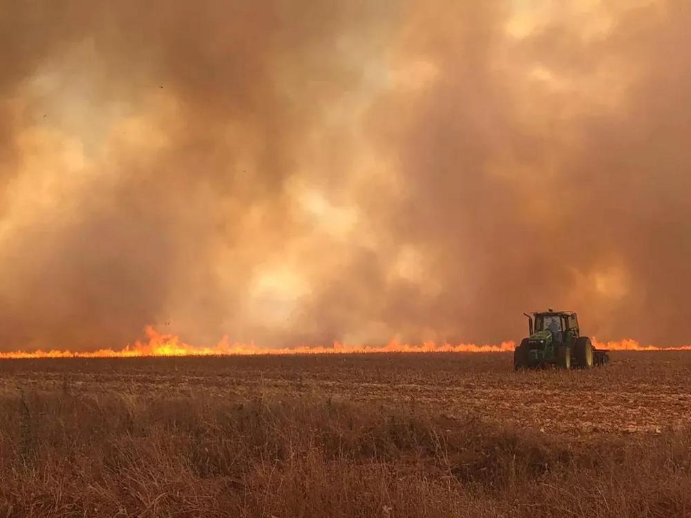 Resolução da Secretaria de Agricultura de SP agiliza auxílio a produtores rurais atingidos por incêndios