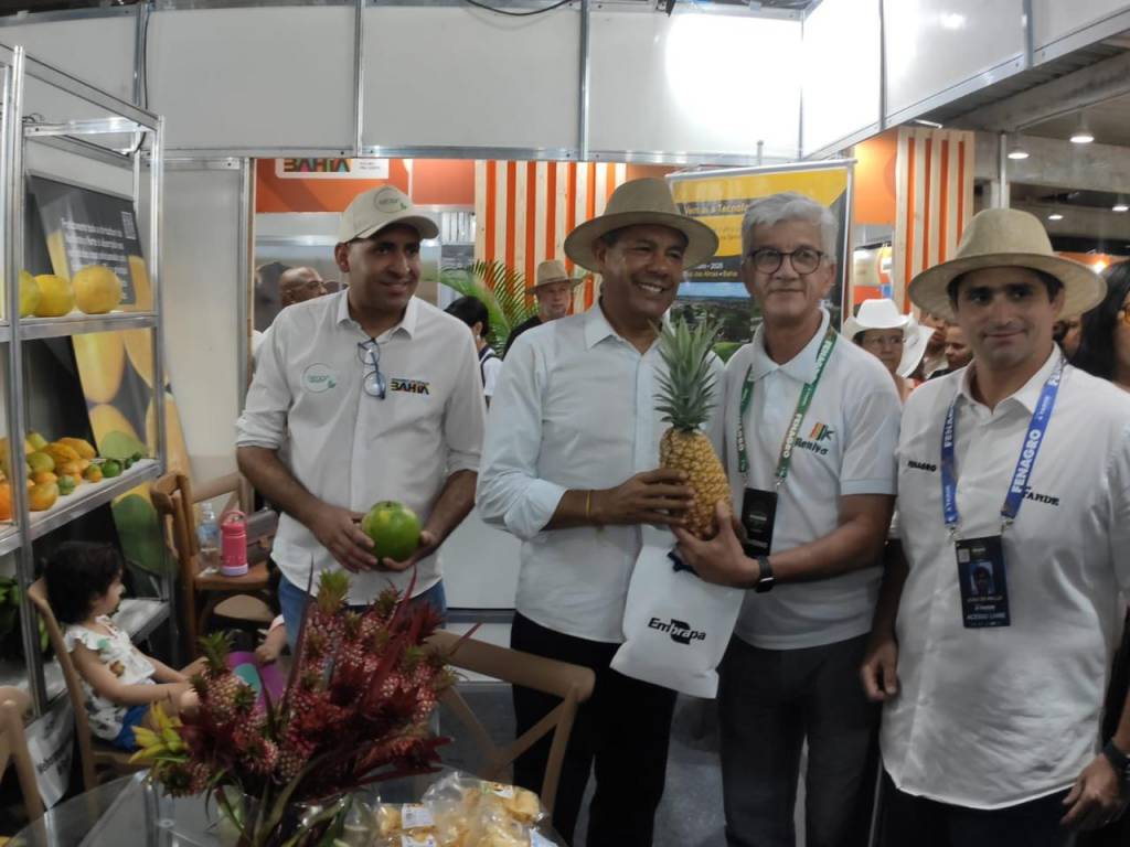 Embrapa leva tecnologias da mandioca e fruticultura para a Fenagro 2024
