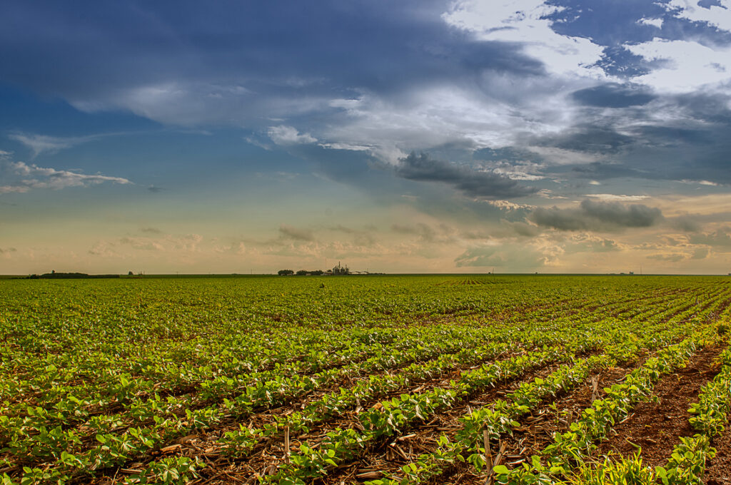 Agrodefesa orienta produtores de soja sobre a necessidade de cadastrar suas lavouras em Goiás
