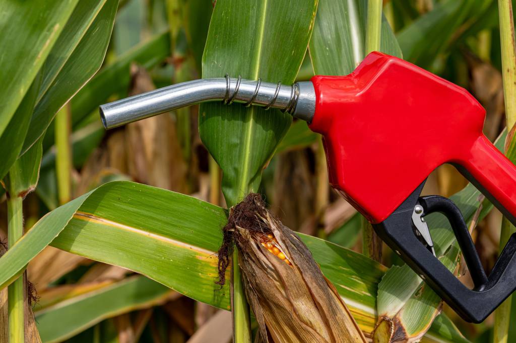 Preços do etanol caem no início de junho com avanço da safra e redução da gasolina
