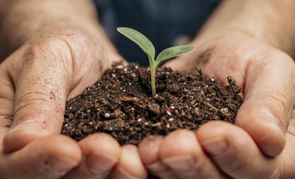 Entregas de fertilizantes aumentaram 11,4% de janeiro a maio deste ano