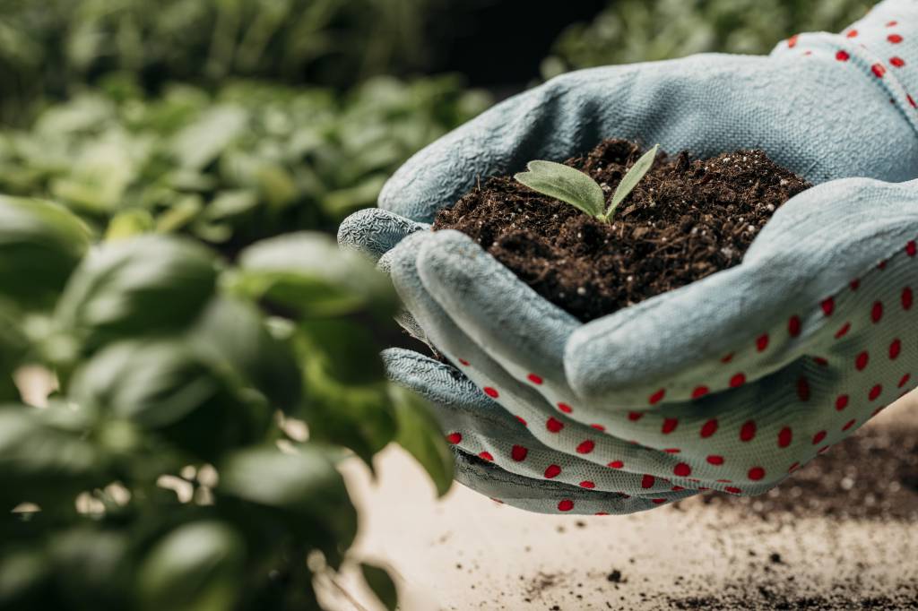 Entregas de fertilizantes cresceram 9% no primeiro trimestre