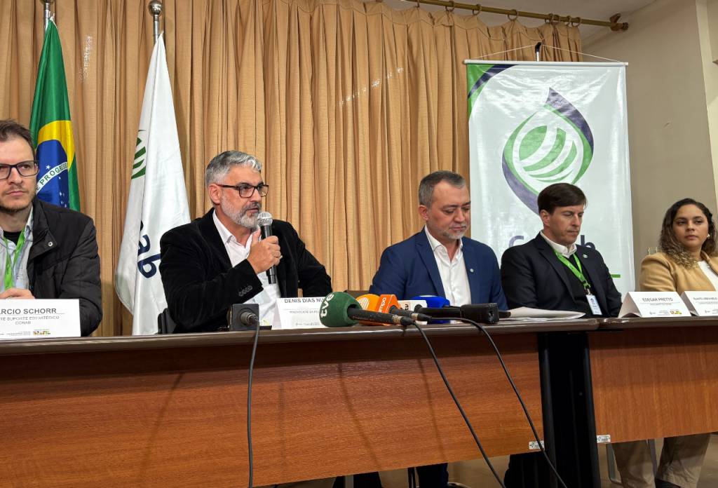Federarroz cobra novos mercados e mais fiscalização após anúncio da compra de arroz pela Conab