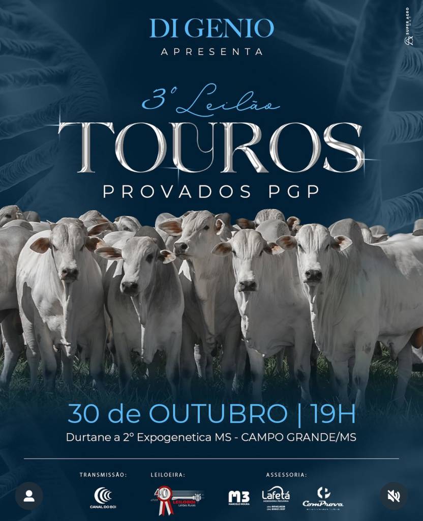 Leilão de Touros Provados PGP Digenio hoje às 20h no Canal do Boi 