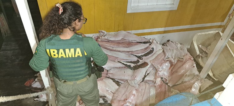 Operação no Amazonas apreende 4 toneladas de pescado ilegal
