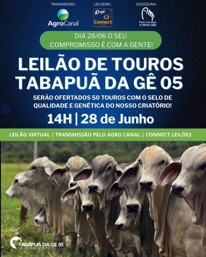 Leilão de Touros Tabapuã da Gê 05 hoje no Agro Canal