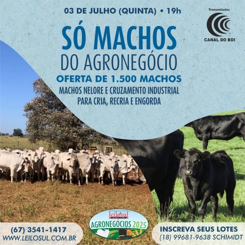 Leilão Só Machos do Agronegócio hoje às 19h no Canal do Boi 