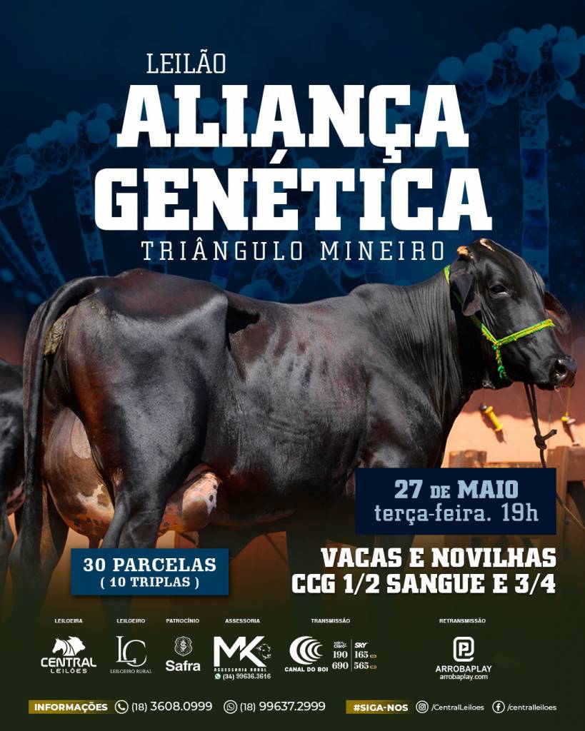 Leilão Aliança Genética Triângulo Mineiro hoje às 19h no Canal do Boi 