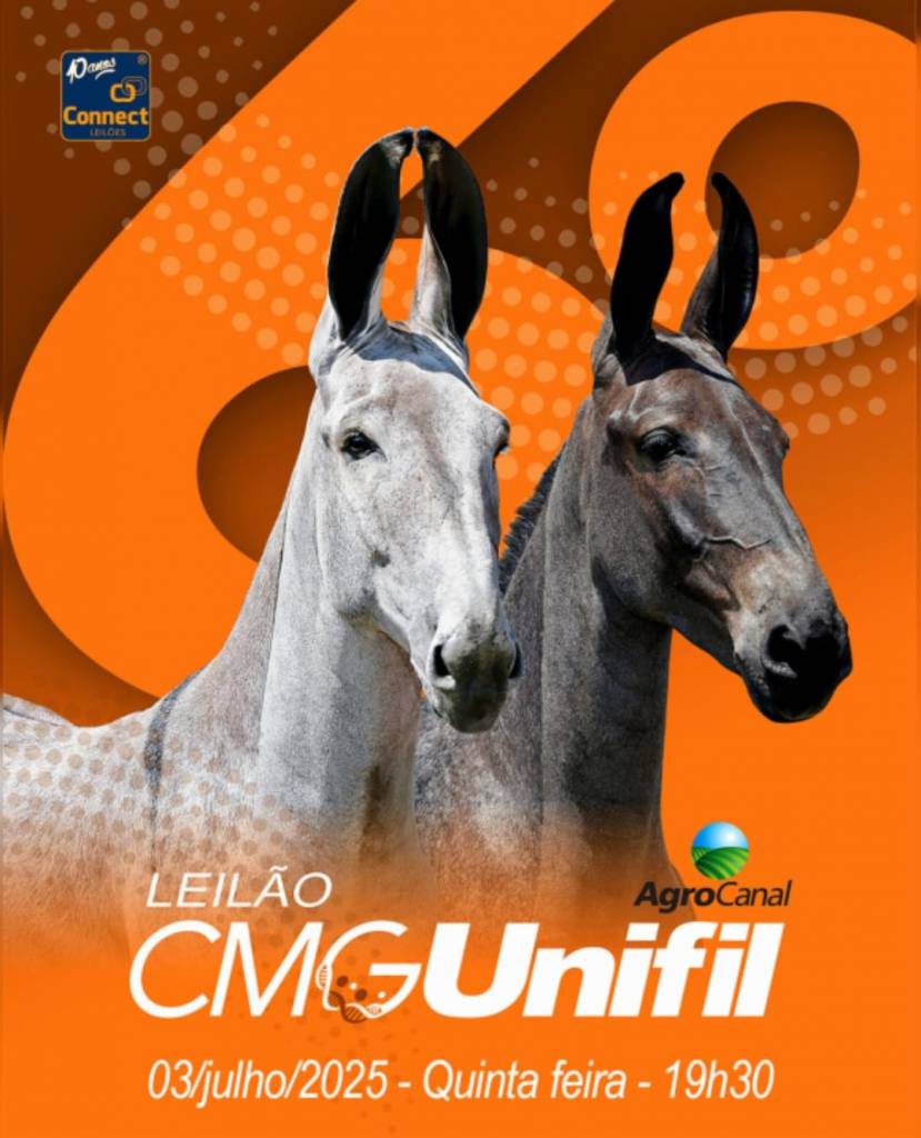 Leilão CMG UNIFIL hoje às 19h30 no Agro Canal