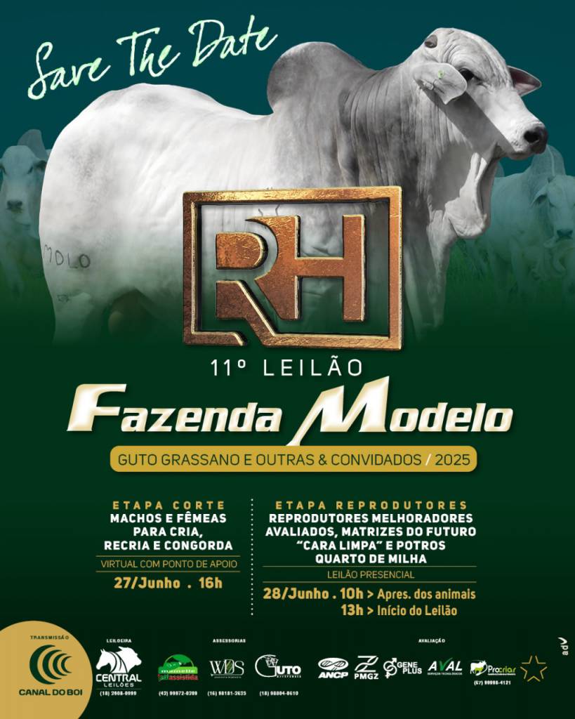 11º Leilão Fazenda Modelo Guto Grassano 2025 - Etapa Reprodutores hoje às 13h no Canal do Boi 