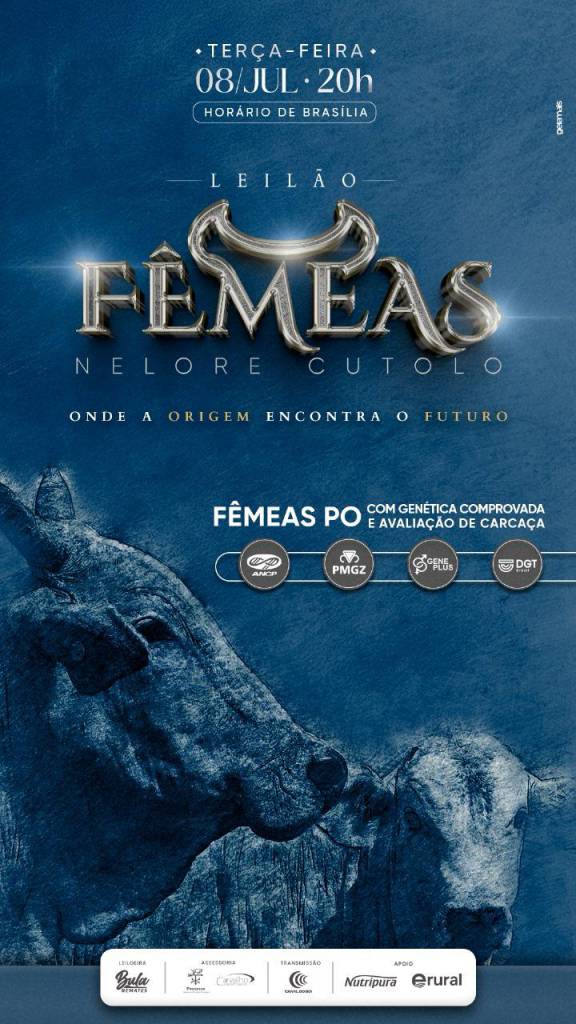 Leilão Fêmeas Nelore Cutulo hoje às 20h no Canal do Boi
