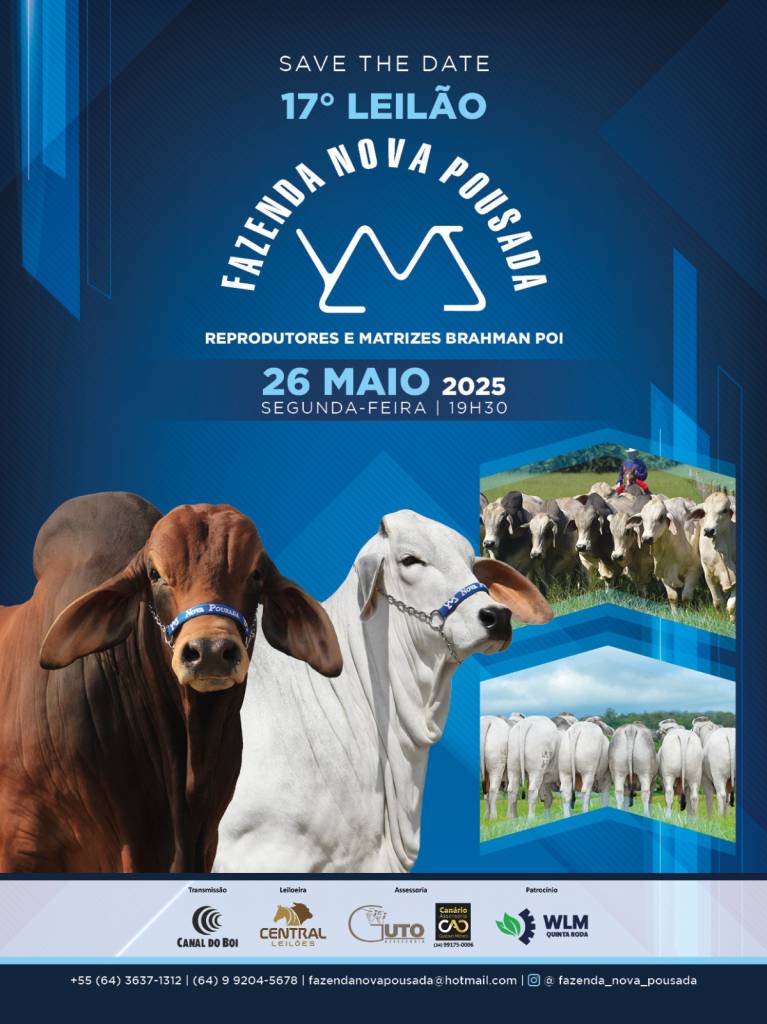 17º Leilão Fazenda Nova Pousada hoje às 19h30 no Canal do Boi 