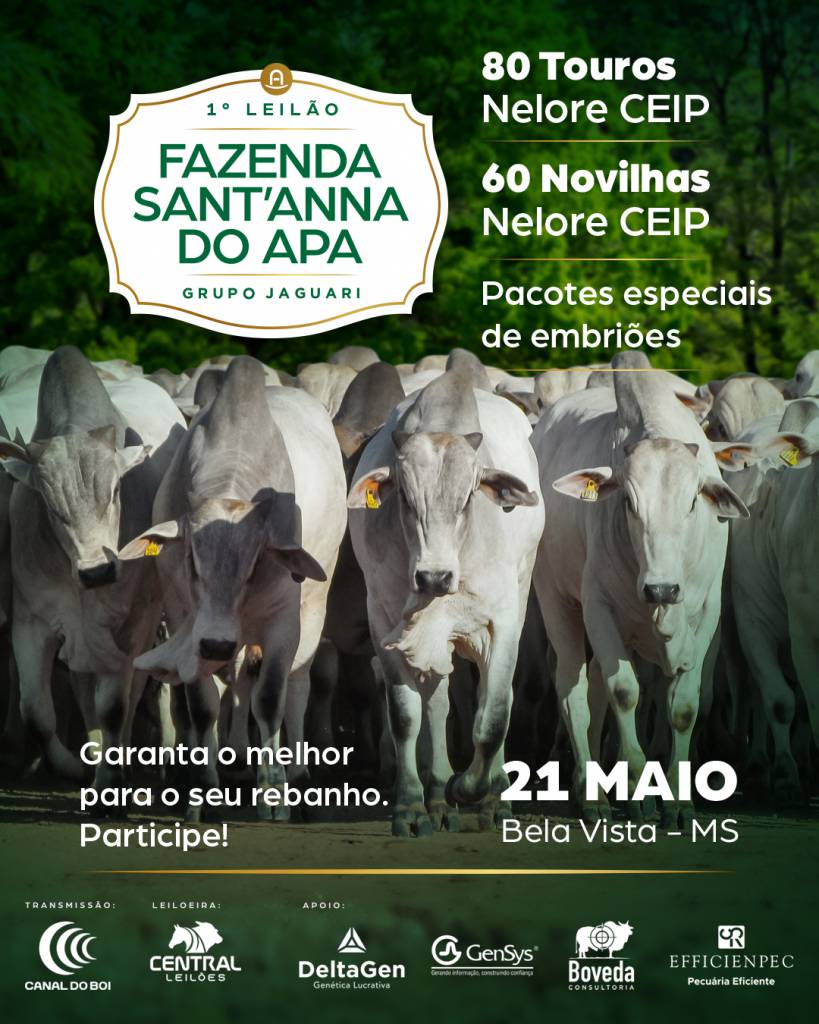 1º Leilão Fazenda Sant'Anna do APA  hoje às 10h no Canal do Boi 