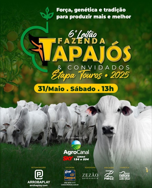 6º Leilão Fazenda Tapajós e Convidados hoje no Agro Canal