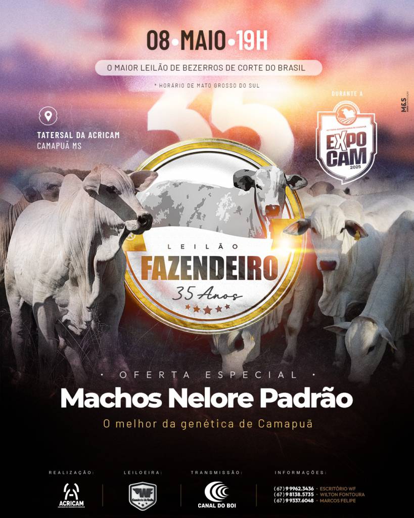 Leilão Fazendeiro 35 anos hoje às 20h no Canal do Boi