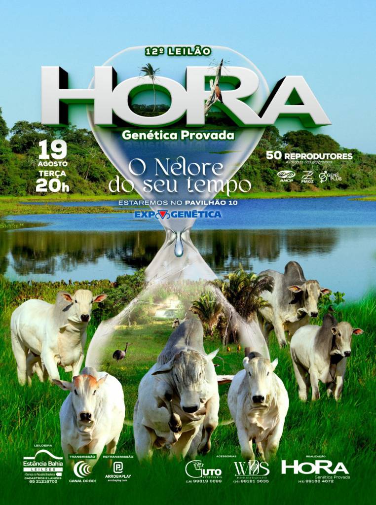 12º Leilão Hora Genética Provada hoje às 20h no Canal do Boi 