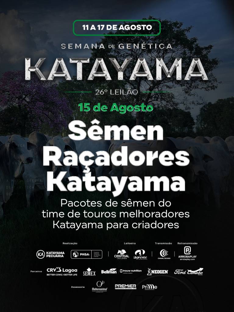 Katayama oferta pacotes de sêmen de touros melhoradores hoje às 19h no Canal do Boi