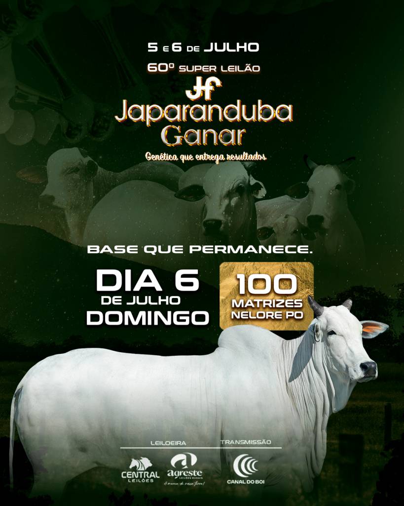 60º Super Leilão Japaranduba Ganar - Matrizes Nelore PO no Canal do Boi