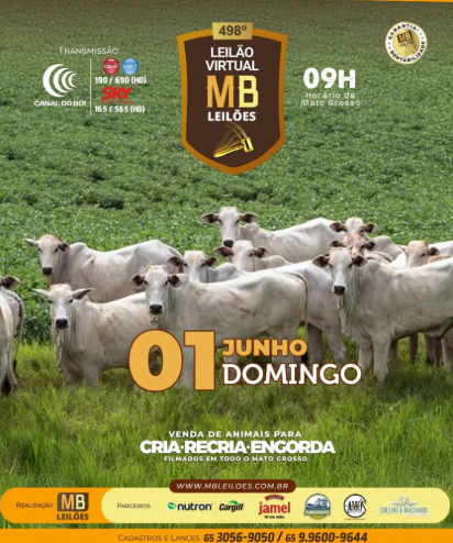 MB Leilões oferta animais para cria, recria e engorda neste domingo no Canal do Boi
