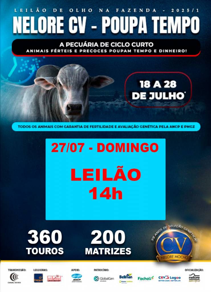 De Olho Na Fazenda Nelore CV hoje às 14h no Canal do Boi