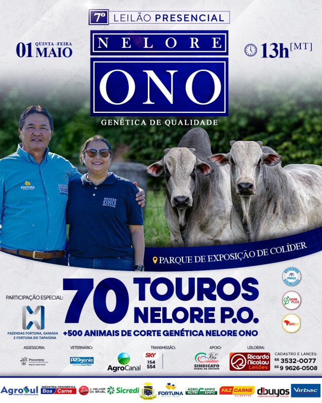 7º Leilão Presencial Nelore Ono hoje no Agro Canal