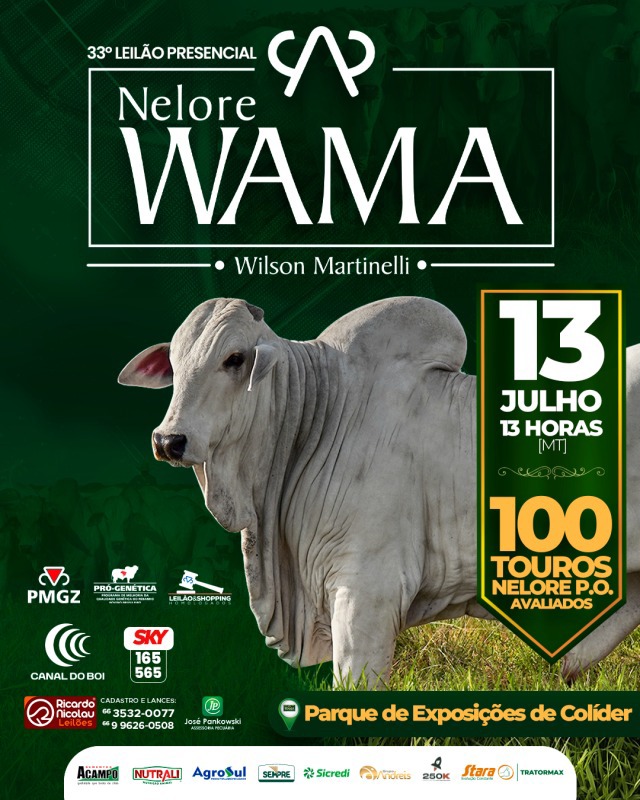 Leilão Presencial WAMA Touros hoje às 14h no Canal do Boi 