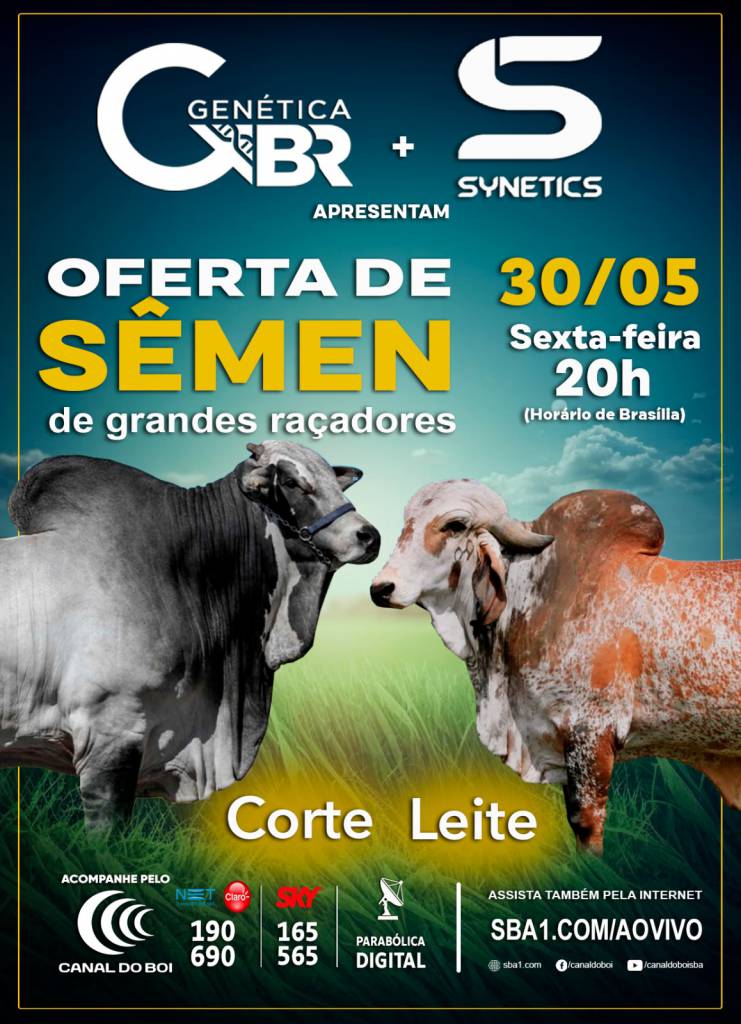 Oferta especial de Sêmen Génetica BR e Synetics hoje às 20h no Canal do Boi