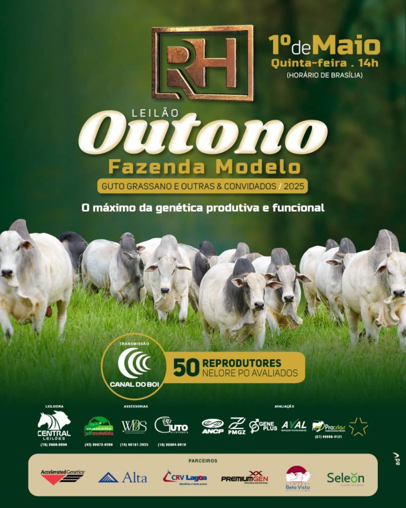 Leilão Outono Fazenda Modelo hoje às 14h no Canal do Boi 