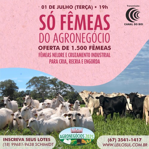 Leilão Só Fêmeas do Agronegócio hoje às 19h no Canal do Boi
