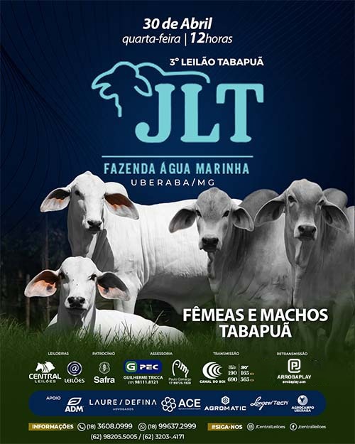 3º Leilão Tabapuã JLT - Fazenda Água Marinha hoje às 12h no Canal do Boi 
